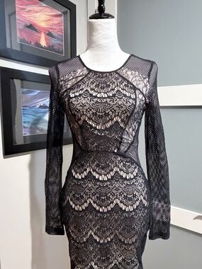Express Black Lace Sheath Dress XS Sheer Mesh Long Sleeve Fitted Mini